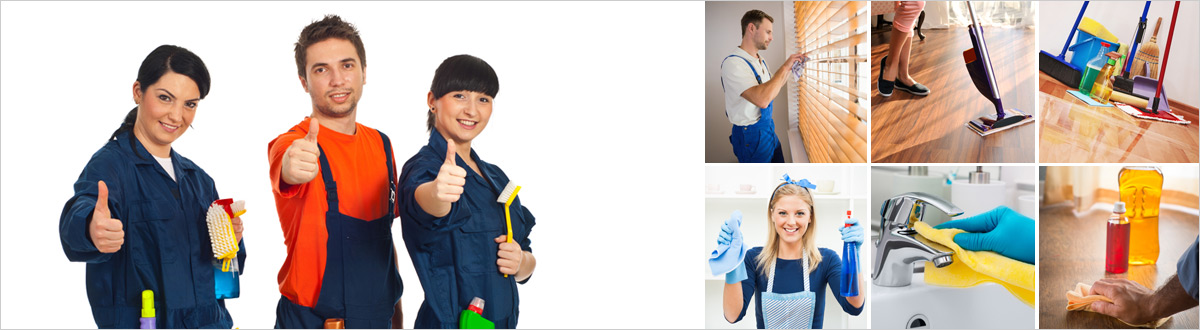 Man and Van E17 Walthamstow